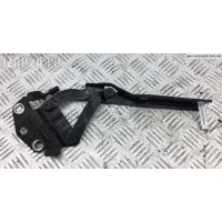 Петля (кронштейн) капота Левая Volkswagen Passat B6 2008 3C0823301E