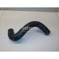 Патрубок радиатора GM Lacetti (2003 - 2013) 96553267