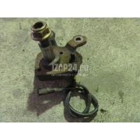 Цапфа правая Renault Scenic (1999 - 2003) 8200233410