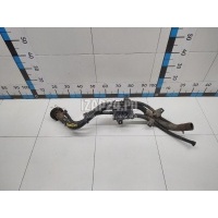 Горловина топливного бака GM Captiva (C100) (2006 - 2010) 96833772