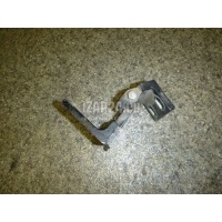 Петля двери задней правой нижняя BMW X5 E53 (2000 - 2007) 41528269846