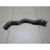 Патрубок радиатора Honda Jazz (2002 - 2008) 19501PWAJ00