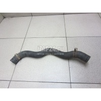 Патрубок радиатора Honda Jazz (2002 - 2008) 19501PWAJ00