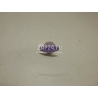 Крепеж (клоп) Nissan X-Trail (T30) (2001 - 2006) 8085089917