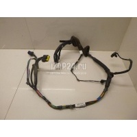 Проводка (коса) Nissan Navara (D40) (2005 - 2015) 24124EB802