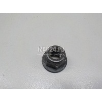 Гайка VAG Fabia (1999 - 2007) N10401801
