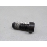 Болт маховика VAG Allroad quattro (2012 - 2019) WHT007991