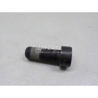 Болт маховика VAG Allroad quattro (2012 - 2019) WHT007991