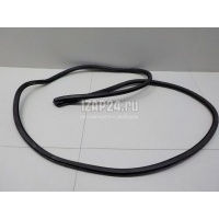 Уплотнитель двери Toyota LX 570 (2007 - ) 6233260081