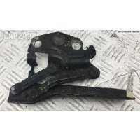 Петля (кронштейн) капота Левая Volkswagen Passat B6 2006 3C0823301E