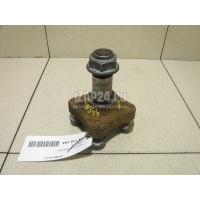 Цапфа (п.з.к.) Renault Kangoo (2008 - ) 8200490662