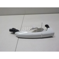 Ручка двери наружная Jaguar Discovery Sport (2014 - ) T4N5420LML