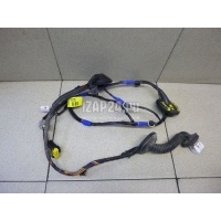 Проводка (коса) Hyundai-Kia Santa Fe (CM) (2006 - 2012) 916652B020