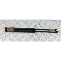 Амортизатор крышки двери багажника 1 E81/E87 2004-2012 2006 7060622