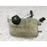 Бачок расширительный Renault Scenic III (2009-2015) 2010 217100005R