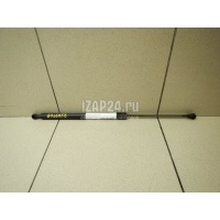 Амортизатор двери багажника Renault Scenic III (2009 - 2015) 904500004R