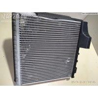 Радиатор охлаждения (конд.) Volkswagen Passat B6 2008 3C0820411C