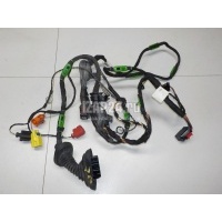 Проводка (коса) VAG A6 [C6,4F] (2004 - 2011) 4F1971035N