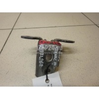 Петля двери Renault Megane III (2009 - 2016) 804804993R