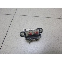 Петля двери багажника GM Captiva (C100) (2006 - 2010) 96661568