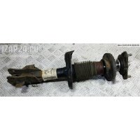 Амортизатор подвески Перед. Левая Honda Civic 2006 51606-SMR-E03,