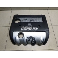 Накладка декоративная Hyundai-Kia Sonata V (NF) (2005 - 2010) 2924025300