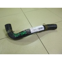 Патрубок радиатора Ford Ranger (1998 - 2006) 5031513