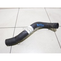 Патрубок радиатора Ford Ranger (1998 - 2006) 5031513