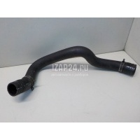 Патрубок радиатора Ford Transit (2006 - 2013) 1371293