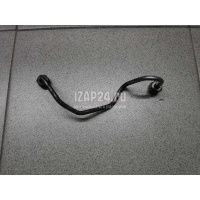 Трубка ТНВД Ford C-MAX (2003 - 2010) 1365164