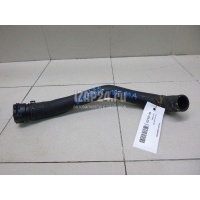 Патрубок радиатора Ford Fiesta (2001 - 2008) 1528662