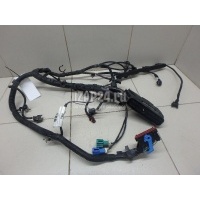 Проводка (коса) Ford C-MAX (2003 - 2010) 1674421