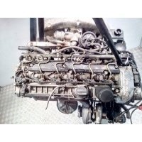Двигатель Mercedes W210 (E Class) (1995-2002) 2001 3.2 Дизель CDi 613.961(не читается)