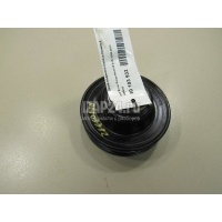 Шкив водяного насоса (помпы) Land Rover Discovery III (2004 - 2009) 4359078