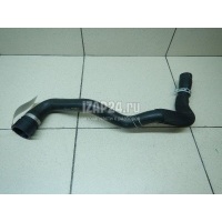 Патрубок радиатора Ford Focus III (2011 - 2019) CV6Z8260T