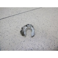 Крепеж форсунки Renault Clio II/Symbol (1998 - 2008) 7700106588