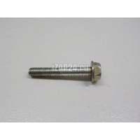 Болт Nissan Murano (Z51) (2008 - 2015) 0812064028