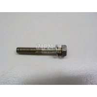 Болт Nissan Murano (Z51) (2008 - 2015) 0812064028