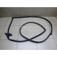 Уплотнитель двери Nissan EX/QX50 (J50) (2008 - 2017) 808311BA0A