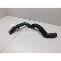 Патрубок радиатора Renault Scenic III (2009 - 2015) 215010021R