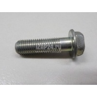 Болт S12 2008 - 2012 800110620