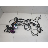 Проводка (коса) GM Astra G (1998 - 2005) 24448220