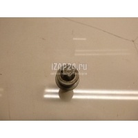 Болт распредвала Citroen-Peugeot 307 (2001 - 2008) 080644
