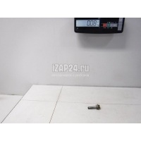 Болт цапфы Renault Espace IV (2002 - 2014) 8200621871