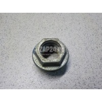 Гайка VAG Exeo (2009 - 2013) WHT000428