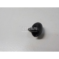 Форсунка омывателя лобового стекла Renault Duster (2012 - ) 289321198R