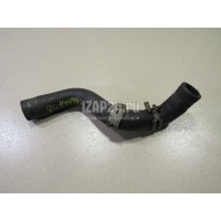 Патрубок Ford C-MAX (2003 - 2010) 1317039