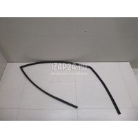 Уплотнитель стекла двери Hyundai-Kia Tucson (2004 - 2010) 825402E000