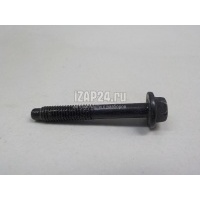 Болт головки блока Renault Duster (2012 - ) 132248938R