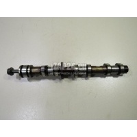 Распредвал выпускной VAG A4 [B7] (2005 - 2007) 06E109102AL